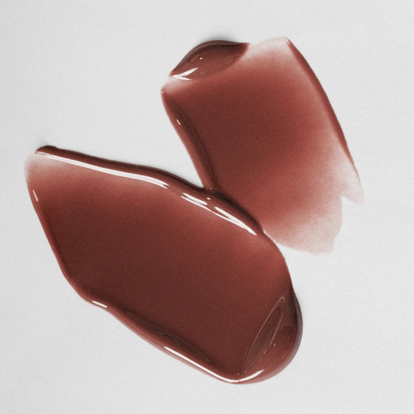 ÂN-GLOSS Ceramide Lip Tint- Spice Cake